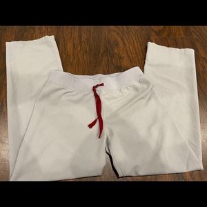 FIGS small petite Livingston in cement